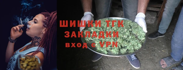 гашик Няндома