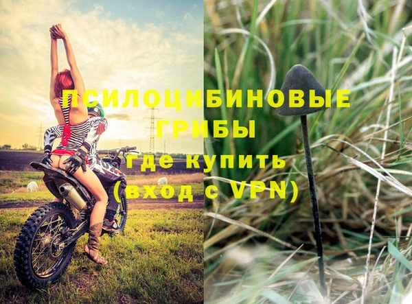 гашик Няндома