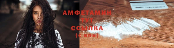 гашик Няндома