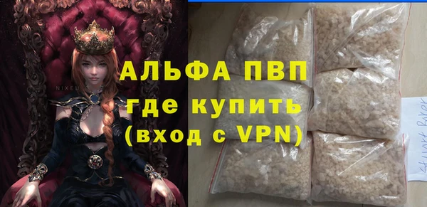 гашик Няндома