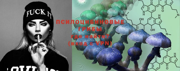 гашик Няндома