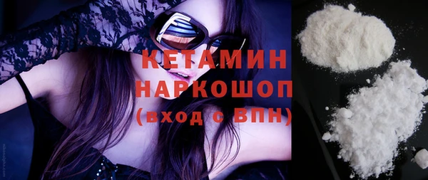 гашик Няндома